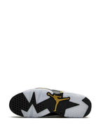 Jordan 6 Rétro « DMP » (2020)