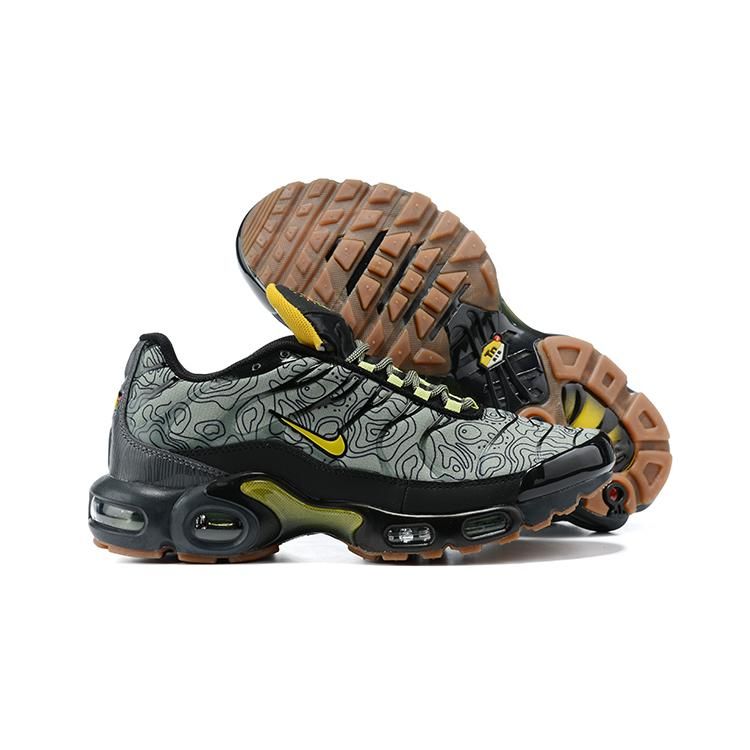 Air Max Plus Nouvelle Perspective