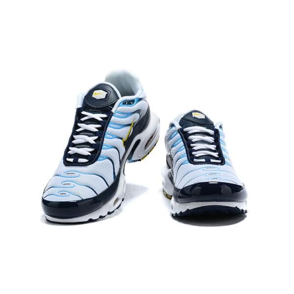 Air Max Plus Blanc Bleu Marine Or