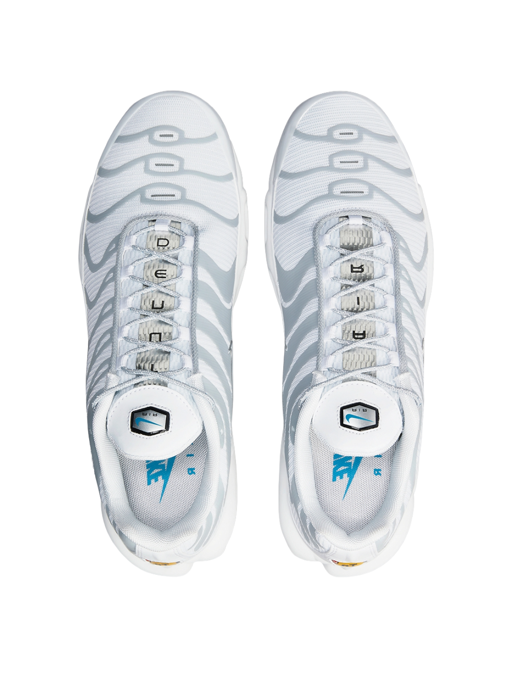Nike Air Max Plus Grind Light Smoke Grey