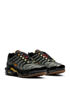 Nike Air Max Plus TN Fresh Perspective