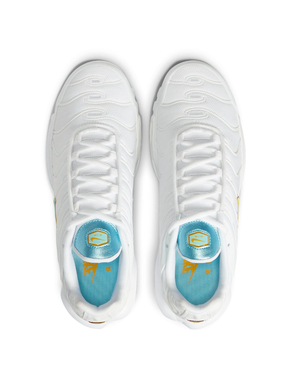 Nike Air Max Plus Glacier Blue (W)