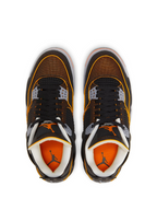 Air Jordan 4 Retro SE Starfish