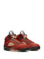 Air Jordan 5 Retro Dunk on Mars