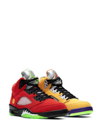 Air Jordan 5 Retro SE What The