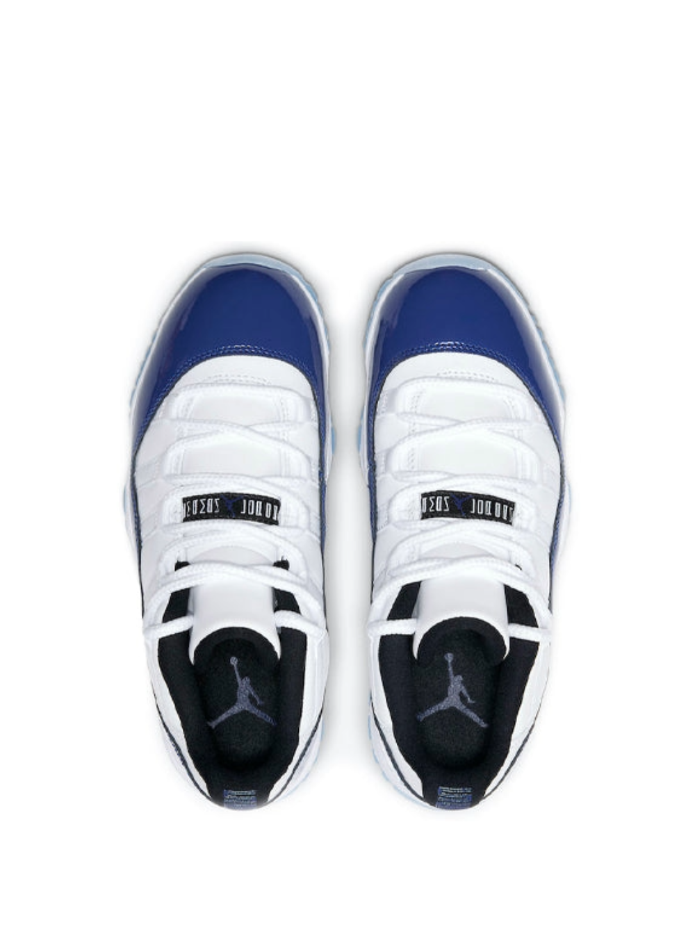 Air Jordan 11 Retro Low Concord Sketch