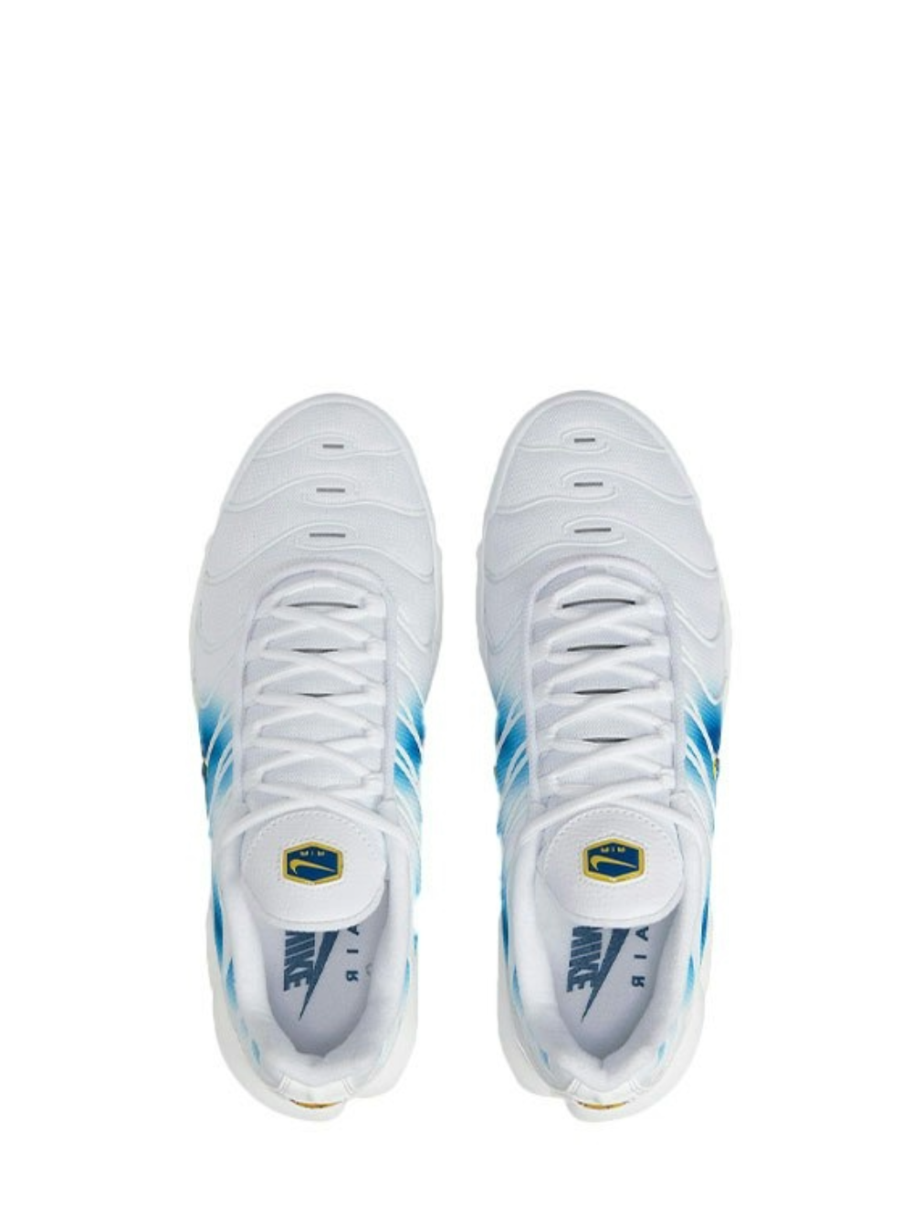 Nike Air Max Plus TN Spray Paint Swoosh