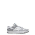 Dunk Low "Two-Toned Grey" (GS)