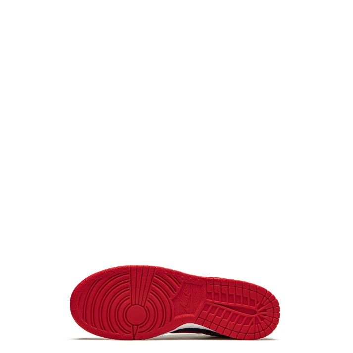 Dunk Low "Samba" (2020)