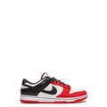 Dunk Low EMB NBA 75th Anniversary Chicago