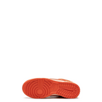 Dunk Low "Winter Solstice" (W)