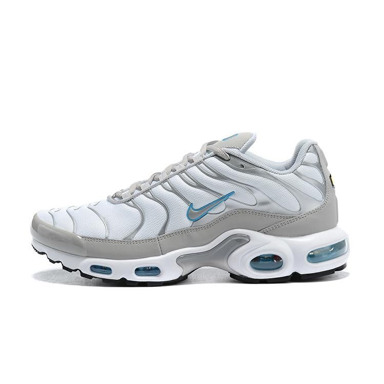 Air Max Plus Light Smoke Grey Glacier Ice