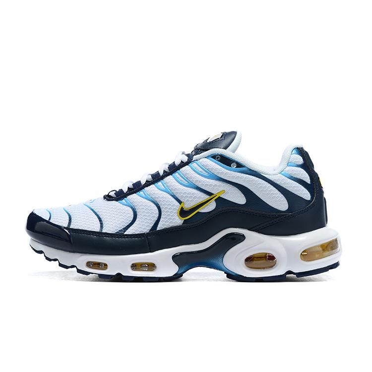 Air Max Plus White Navy Gold